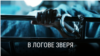 "В логове зверя". Режиссер: Эрика Кон