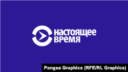 Реальное кино: Виниловая нация